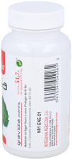Graviola Plantis 90Capsulas