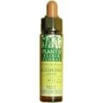 Chestnut Bud Plantis Nº 07 10 ml