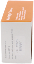 Gestagyn Embarazo 30Cap.