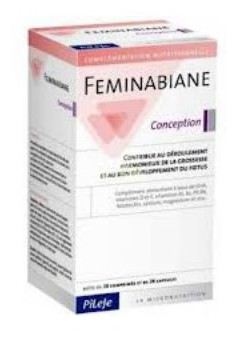 Feminabiane Concepción