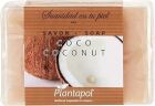 Jabón Natural Coco 100 gr