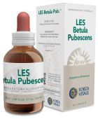 Les Betula Pubescens Abedul 50 ml