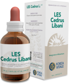 Les Cedrus Libani 50 ml