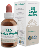 Les Corylus Avellana Avellano 50 ml