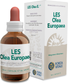 Les Olea Europea Olivo 50 ml