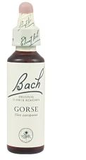 Bach 13 Aulaga 20 ml