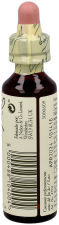 Bach 24 Pino 20 ml