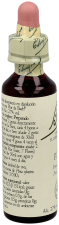 Bach 24 Pino 20 ml