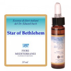 Fm 29 Star Of Bethlehem 10 ml