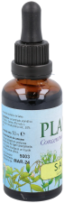 Extracto Salvia 50 ml