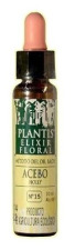 Acebo Nro 15 Elixir Floral 10 ml