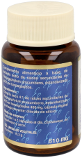 Estado Puro Harpagofito 1600mg 30 cápsulas