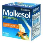 Molkesol B Enzimatico Sobres