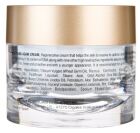 Crema Resplandor Antiedad Young Again 50 ml