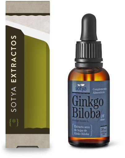 Extracto Gingko Biloba