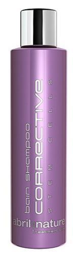 Champú Corrective 250 ml