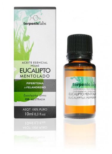 Eucalipto Mentolado 10 ml