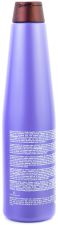 Blueberry Silver Champú 350 ml