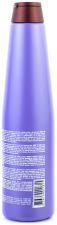 Blueberry Silver Champú 350 ml