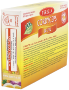 Cordyceps Active 60 Cápsulas