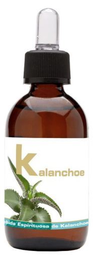 Kalanchoe 50 ml