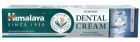 Ayurvedic Dental Cream 100 gr