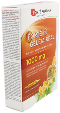 Jalea Real 1000 gr 20 ampollas x 10 ml