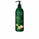 Super Food Loción Corporal Antioxidante de Arándanos 500 ml
