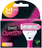 Quattro Pink Cargador 4 uds