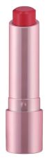 Perfect Shine Barra de Labios 3,5 gr