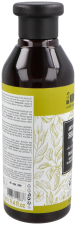 Champú Anticaspa 117 Todo Tipo de Cabello 280 ml
