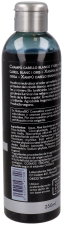 Champú Cabello Blanco y Gris 250 ml