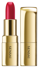 The Lipstick Barra de Labios 3,5 gr