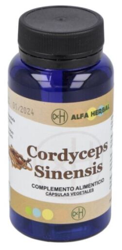 Cordyceps Sinensis 70 Cápsulas
