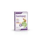 Gastopan Plus 30 Comprimidos