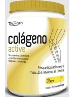 Colágeno Active Sabor Cítrico 450 gr