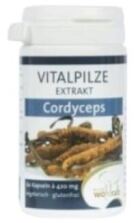Cordyceps 60 Cápsulas