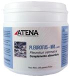 Pleurotus-Mrl en Polvo 250 gr