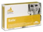 Salix para Boca Seca 120 Cápsulas