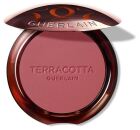 Terracotta Blush Colorete Efecto Buena Cara 1 Unidad