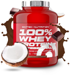 100% Whey Protein Professional 30 gr